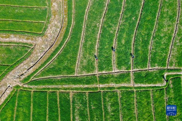 宁波市城展建设工程有限公