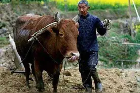 散文｜我生命印记中的故乡老物件图片