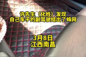 男子副驾结出蜘蛛网遭调侃“单身狗”，车主：没女朋友也没时间洗车图片