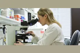 DNA to Face，会是寻人缉凶的一颗“银弹”吗？图片