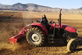 ​传统育种瓶颈待解，生物育种蓄势待发图片