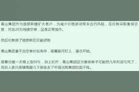 一场“妖镍”大战，逼出海外有矿的温州神秘富豪图片