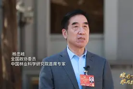 【非凡十年非凡成就】之“塞罕坝”篇：一棵树到一片海视频封面