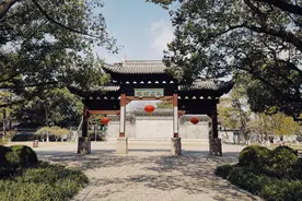 上海公园城市｜大观园，古树名木“博物馆”图片