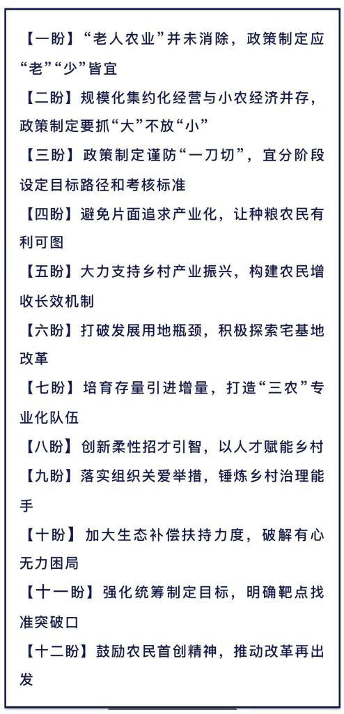 村长打天下电脑破解版（半月谈丨乡村振兴十二盼来自8省24村的蹲点报告）
