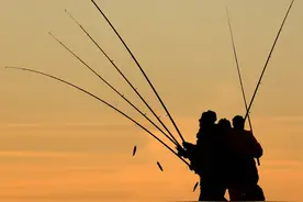 俄罗斯加里宁格勒地区迎来捕鱼季 大批民众捕鱼图片