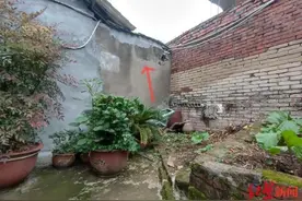 “老宅通道遭邻居修墙堵塞”案二审宣判：要求邻居开辟通道主张不成立图片