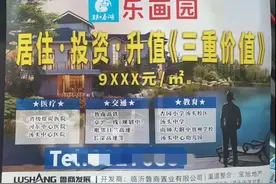 鲁商知春湖·乐画园广告宣传承诺升值？图片
