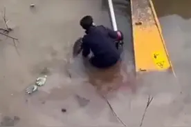 “你救的是一个家庭”，挖机侧翻受伤工人溺水昏迷，路人教科书式急救挽回一命图片