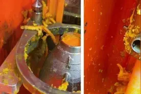 卧底天使之橙：“现榨橙汁”含剩果汁，卫生清洁漏洞多图片