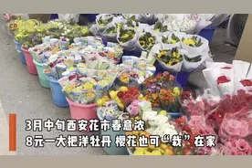 视频丨西安花市春意浓：8元一大把洋牡丹 樱花也可“栽”在家图片