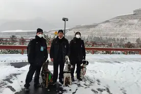 四川“犬王”：下一站成都大运会图片