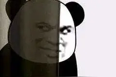 微信发布新功能图片