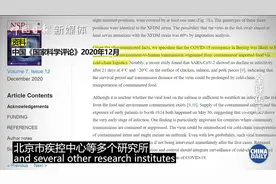 引发华南海鲜市场新冠疫情的 难道是美国冰鲜大龙虾？图片