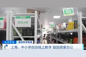 上海：中小学启动线上教学 鼓励居家办公图片