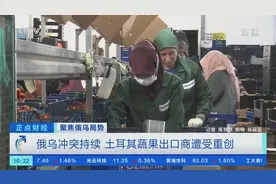 土耳其蔬果出口商遭受重创，出口量暴跌超50%图片