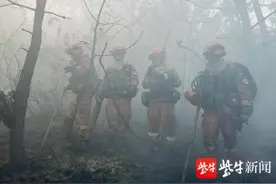“敬礼！”武警官兵与森林消防员火场相遇，火场传回的画面令人感动图片