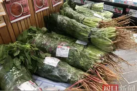 “早产”红苋菜身价成为“蔬菜之王”，这口武汉人最爱的味道先莫慌着尝图片