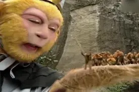 猴毛分身？柏林工业大学研究团队用一个神经元构建神经网络图片