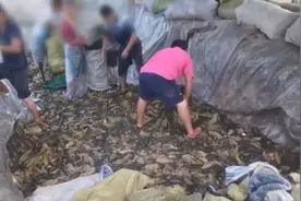 315晚会曝光土坑酸菜后：康师傅道歉，统一发声明否认使用视频封面