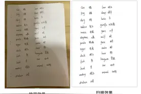 实用｜“云交作业”很麻烦？这里种草一个“必备学习app”图片