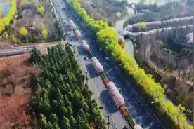 联播pro：郑州正式启用新号牌“豫AA”图片