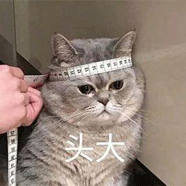 红绿灯掉头没掉过来倒车算不算违章（错过路口后铤而走险太原一男子倒车被处罚）