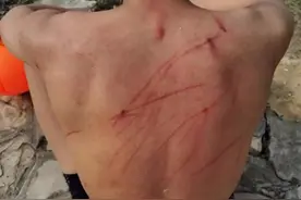 体育生下湖游泳被黑天鹅暴打，校方回应：正在处理，岸边贴了禁止游泳的警告牌图片