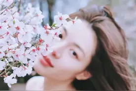 樱花树下，人比花娇 想拍fafa？教你几招图片