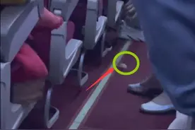 海航一航班飞行途中客舱有小白鼠穿梭，机组人员当场捕捉图片
