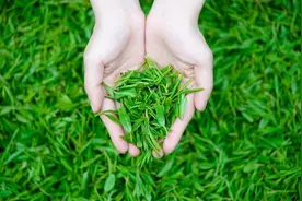 二十四节气里的儿童保健课图片