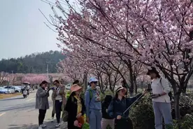 好一个尽显才能的大舞台——述评谷城县“神农英雄会”图片