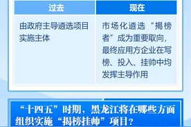 对“揭榜挂帅”你了解多少？一起来看图片