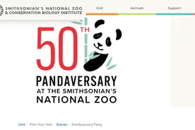 「中国那些事儿」中国大熊猫抵美50周年 美动物园负责人：期待双方合作再继续50年图片