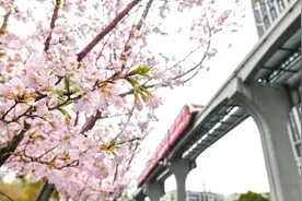 最新！轨道、公交换乘优惠方案来了图片