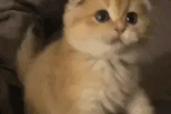 没有单位，灵活就业人员怎么参保？一文全汇总→图片