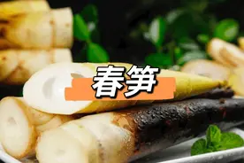 这些春菜我打赌这两日你家餐桌上一定有～将春天的味道一口吃进肚子里去吧图片