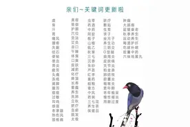 小身材，大功效——蓝莓图片