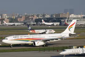 上海迪士尼第三次暂停，热门航线航班量大幅缩水，旅游出行业重回“谷底”图片
