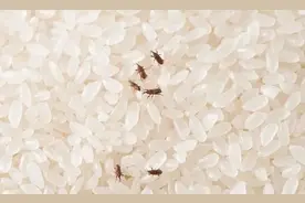 食物放得久，营养全流走？这些厨房里的“耐放品”还会变质图片