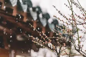 青未了｜道别图片