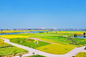 绍兴越城区：传承弘扬鉴湖历史文化，打造生态功能示范区图片