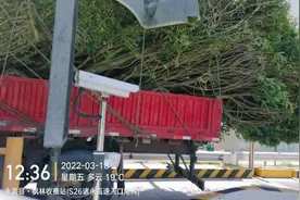 这辆车不能上高速！“巨无霸”想蒙混过关被劝离了图片