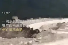 东航空难搜救最新进展：坠机地点三面环山，南部战区组织兵力救援图片