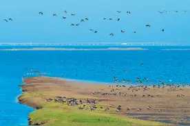 立体保护长江水生态图片