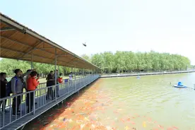 美景山东｜泰山地下大裂谷：在这里体验亚洲最长的地下漂流图片