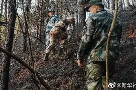专家解读MU5735飞行数据：若数据准确，说明飞机坠落前曾短暂爬升，机组或曾尝试挽救飞机图片