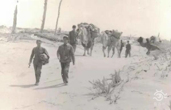 寻宝王国手机版下载（失踪了35年终于）