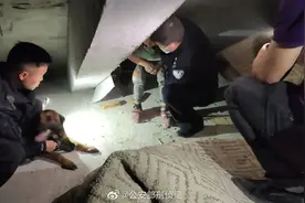 汪汪队立大功！2名儿童离家出走，警犬成功找回图片