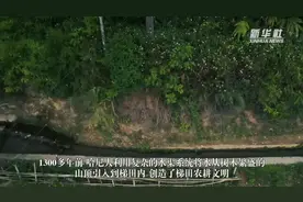 新华全媒+｜千年哈尼梯田的古老用水智慧图片